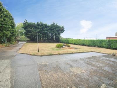 Picture 16